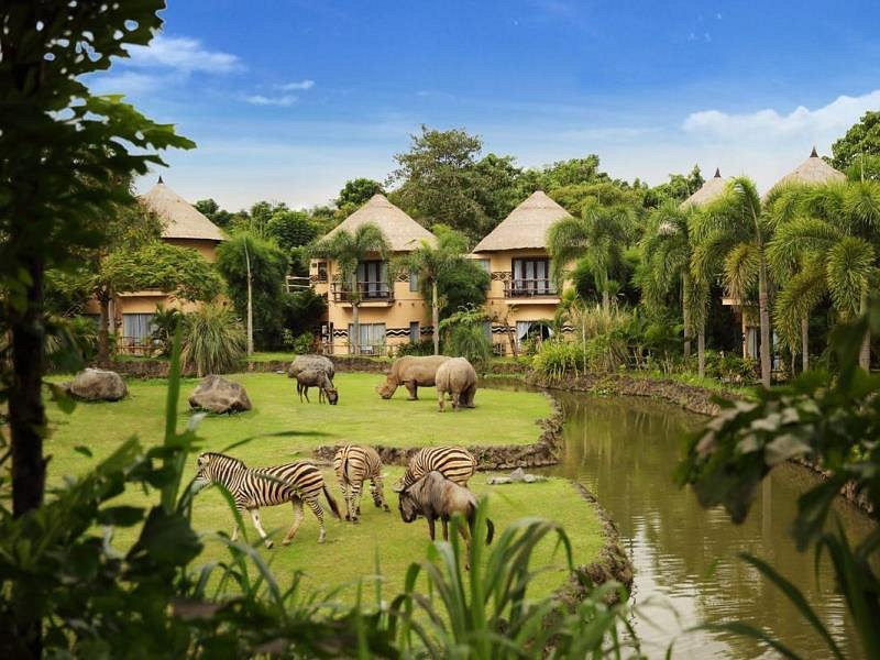 Family Package 5D4N